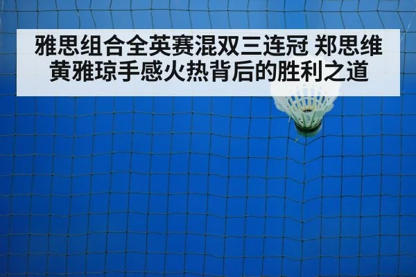 badminton net play