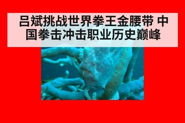 吕斌挑战世界拳王金腰带 中国拳击冲击职业历史巅峰