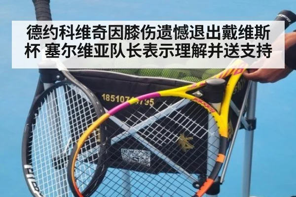 德约科维奇因膝伤遗憾退出戴维斯杯 塞尔维亚队长表示理解并送支持