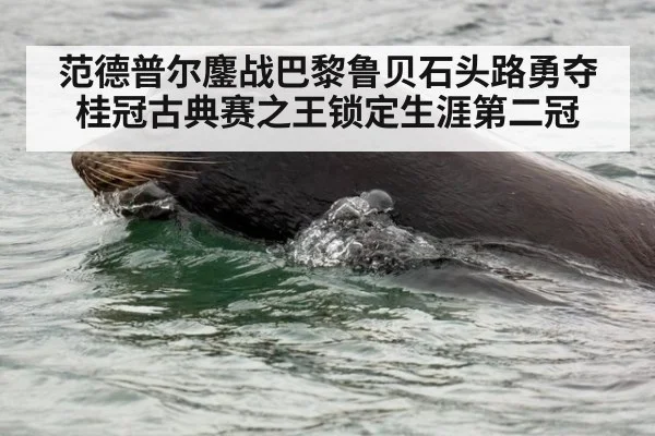 范德普尔鏖战巴黎鲁贝石头路勇夺桂冠古典赛之王锁定生涯第二冠